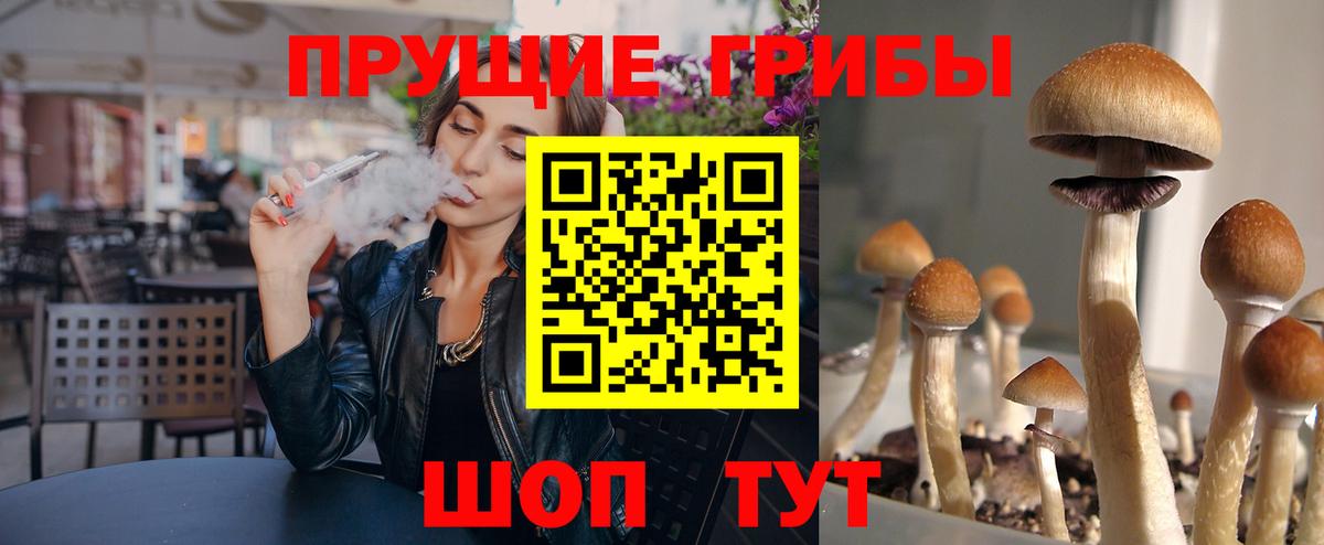 Псилоцибиновые грибы мухоморы Александров